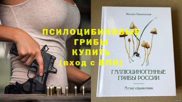 PSILOCYBIN Красноперекопск